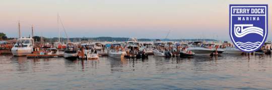 Ferry Dock Marina logo